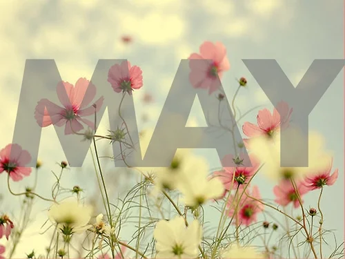 May Specials