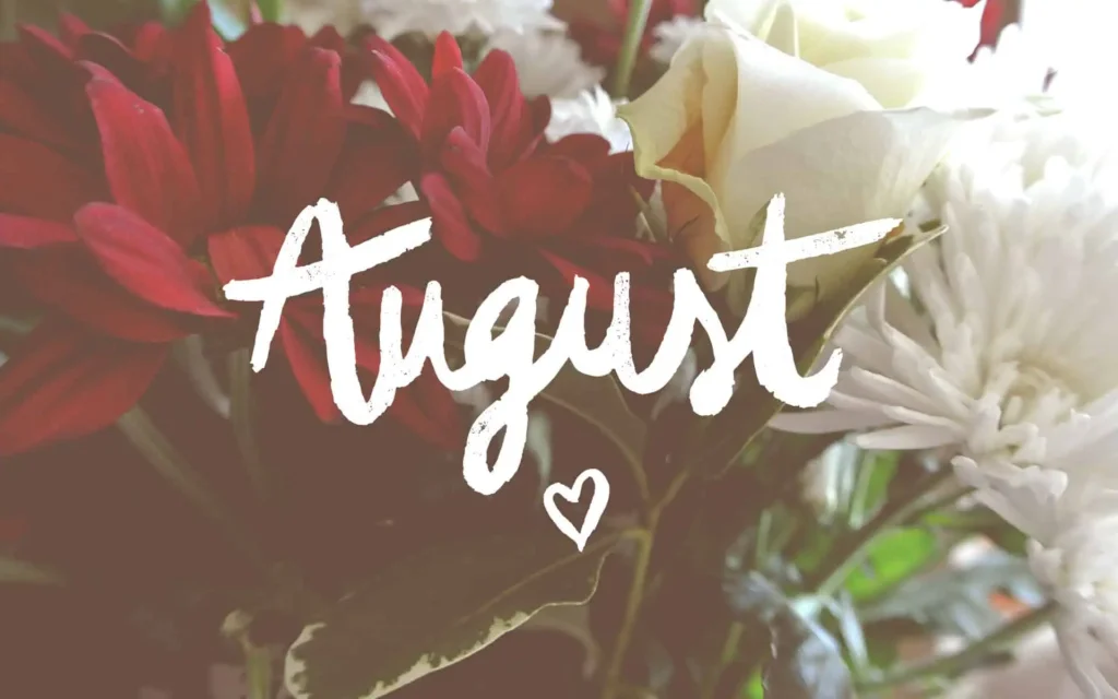 August Sandpoint