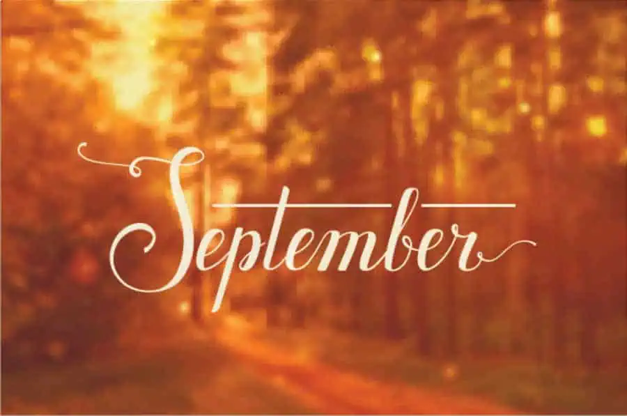 september specials